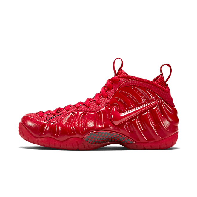 Nike Air Foamposite Pro 624041-603