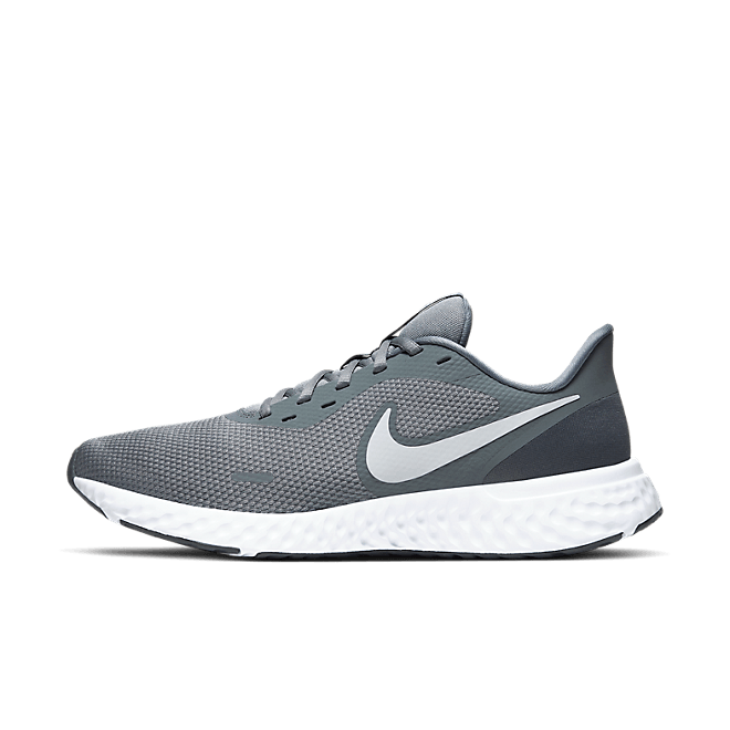 Nike Revolution BQ3204-005