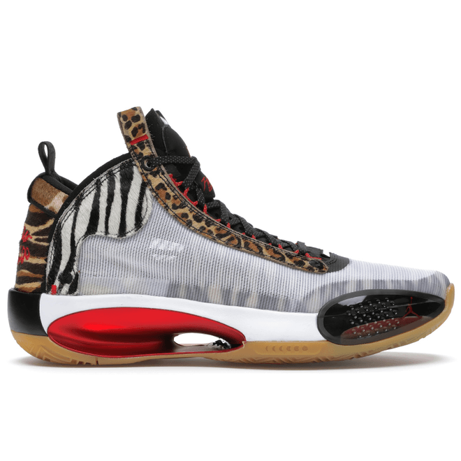 Jordan XXXIV Jayson Tatum Welcome To The Zoo DA1899-900