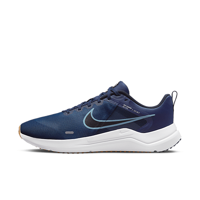 Nike Downshifter 12 DD9293-400
