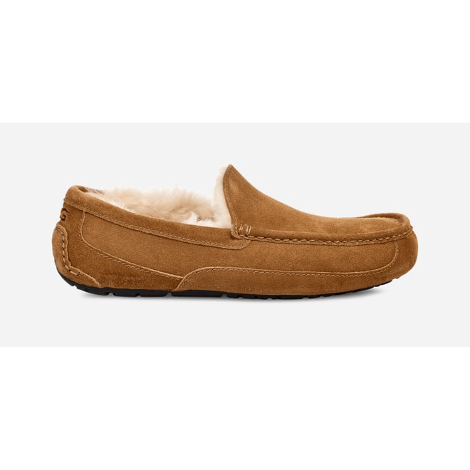 UGG Ascot Slipper Men Brown 1101110-CHE