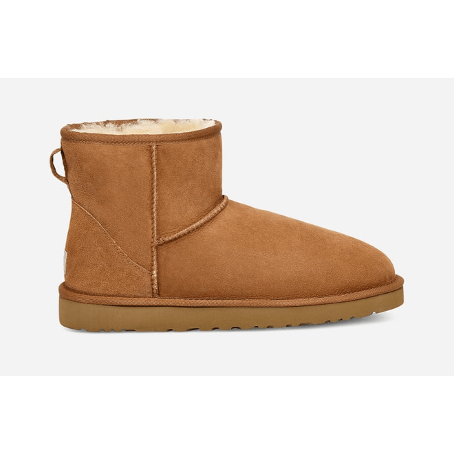 UGG Classic Mini Boot Men Brown 1002072-CHE