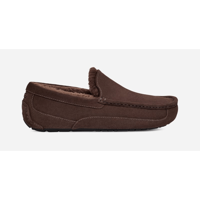UGG Ascot Slipper Men Dusted Cocoa 1101110-DDC