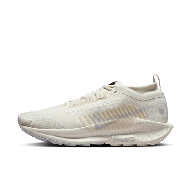 Nike Pegasus Trail 5 GORE-TEX 'Photon Dust'  FQ0908 101