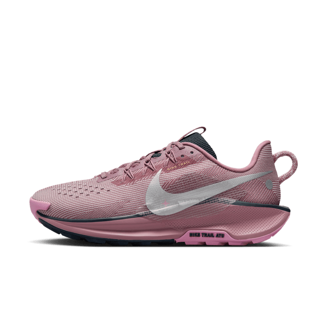 Nike Pegasus Trail 5 Trail DV3865-500