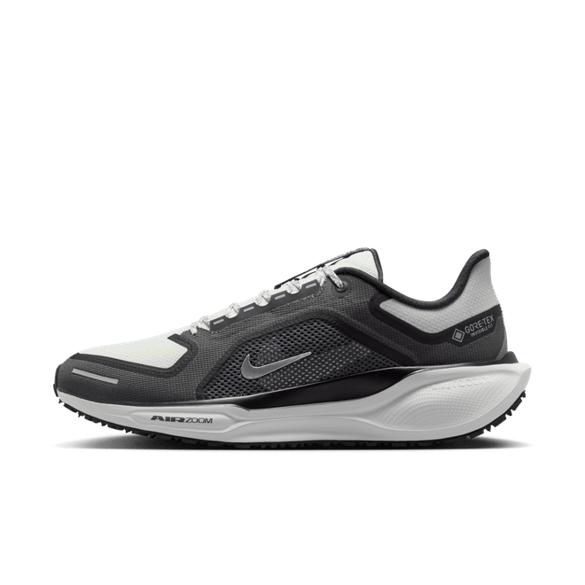 Nike Pegasus 41 GORE-TEX Waterproof Road FQ1356-002