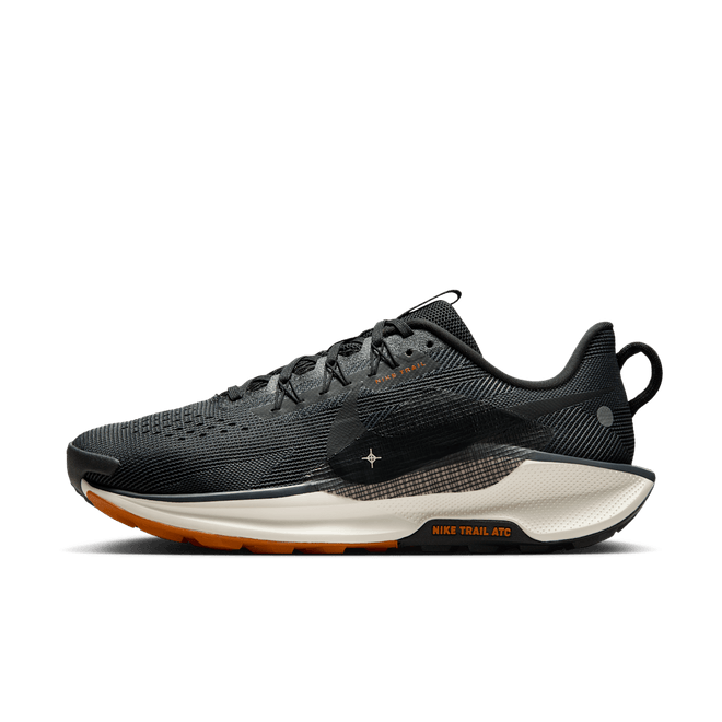 Nike Pegasus Trail 5 Trail-Running DV3864-006