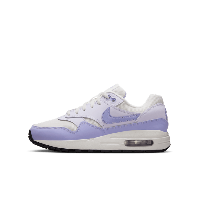 Nike Air Max 1 GS 'Hydrangeas'