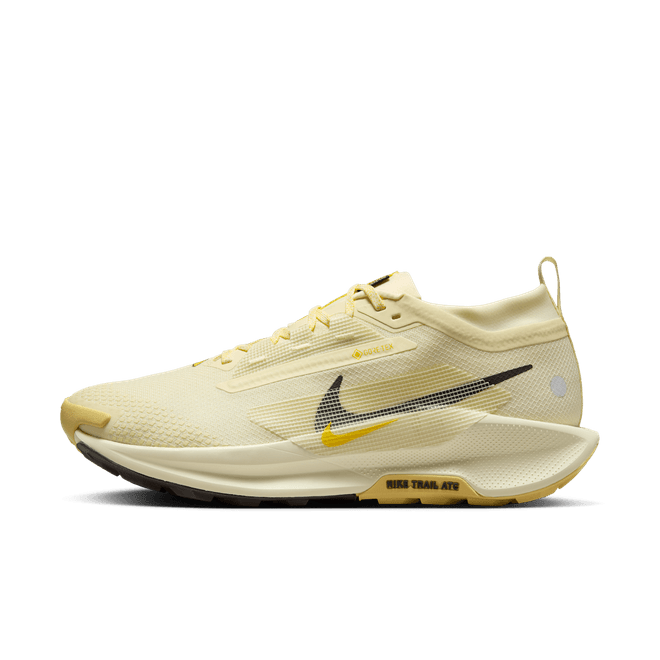 Nike Pegasus Trail 5 GORE-TEX Waterproof Trail FQ0908-700