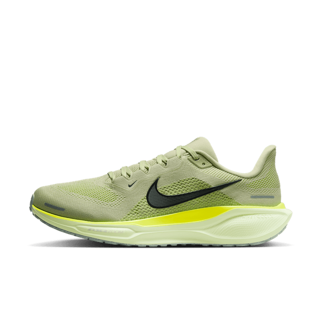 Nike Pegasus 41 Road FD2722-303