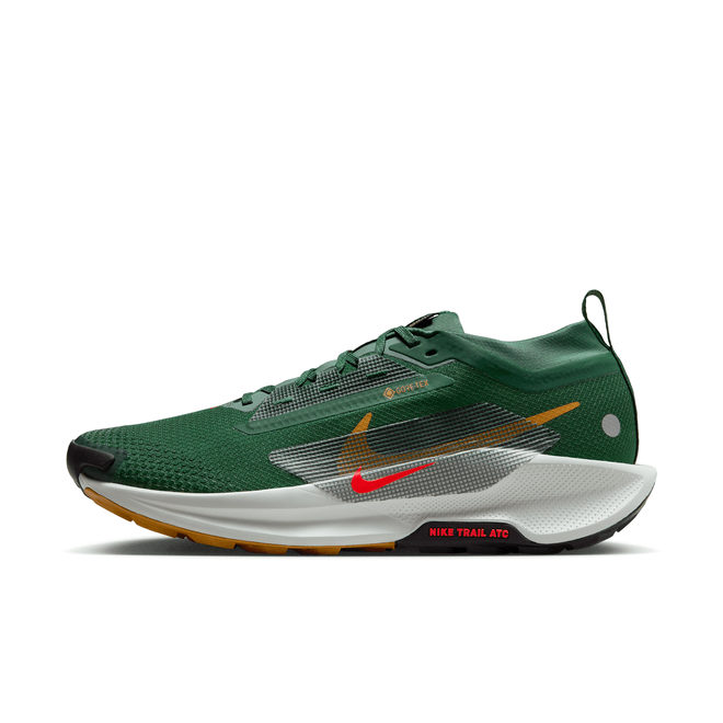 Nike Pegasus Trail 5 GORE-TEX Waterproof Trail FQ0908-301