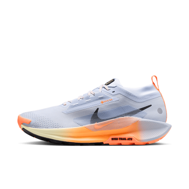 Nike Pegasus Trail 5 GORE-TEX Waterproof Trail-Running FQ0908-011