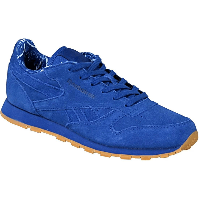 Reebok Classic Leather Tdc BD5052