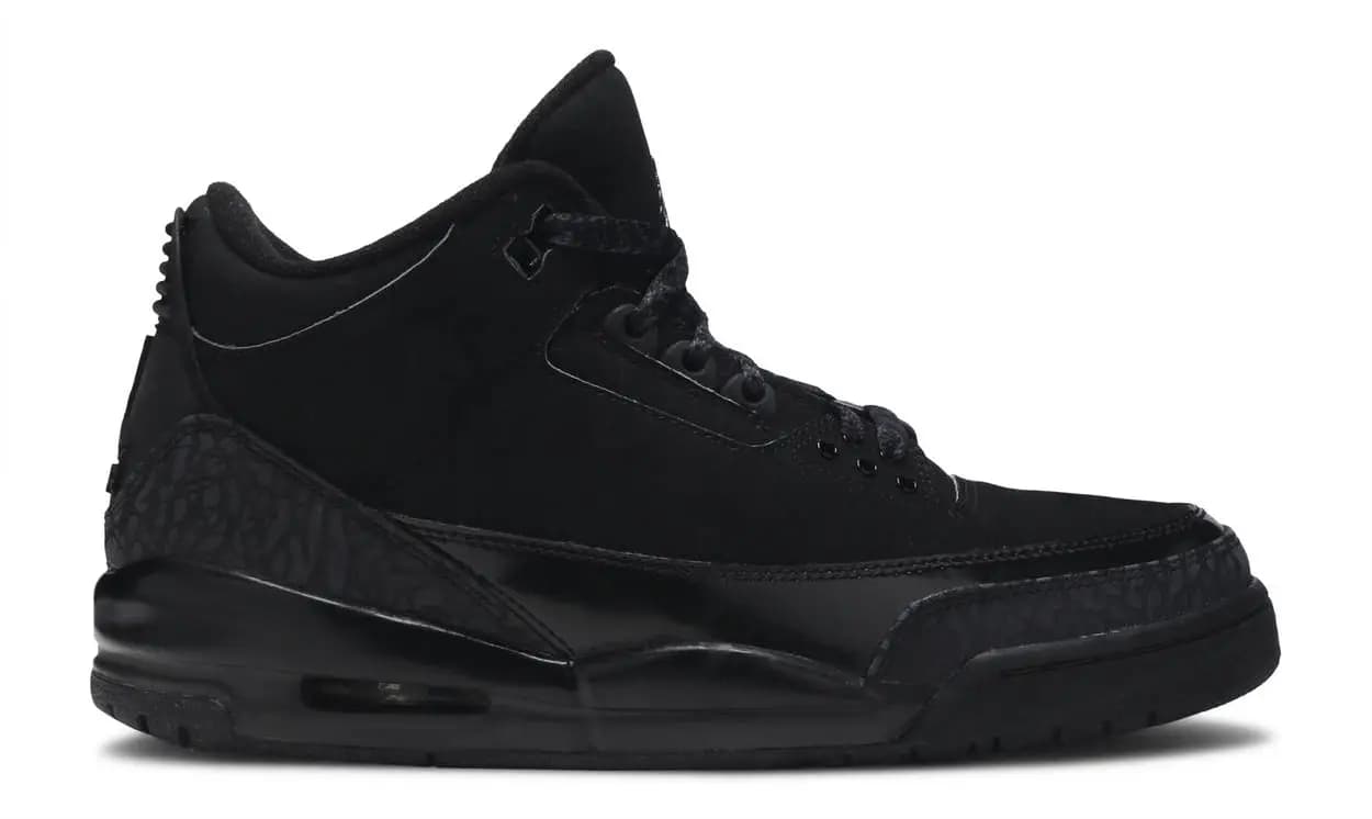 Air Jordan 3 Black Cat