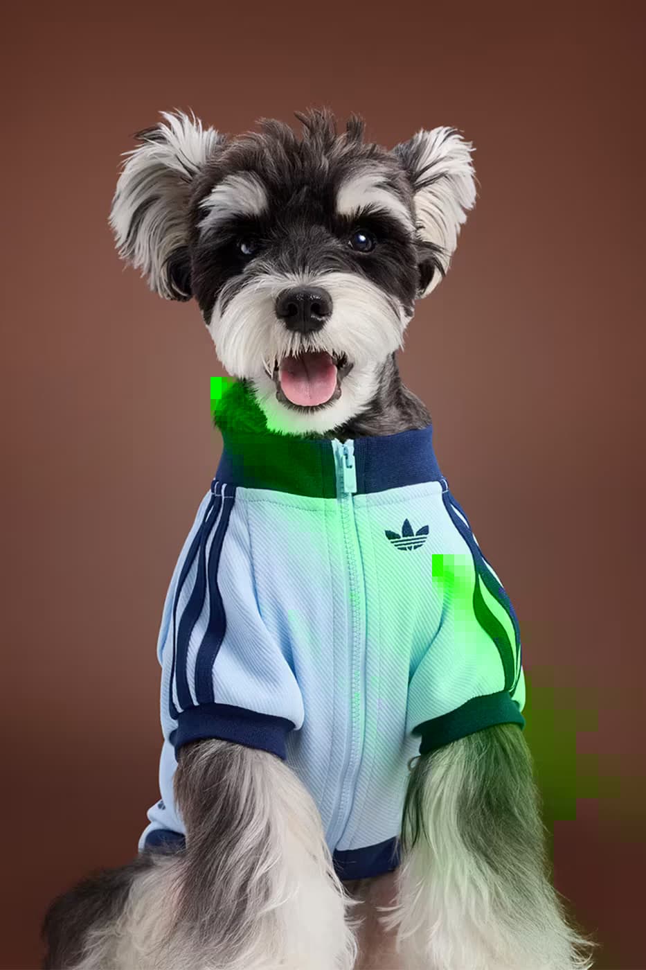 adidas Pet Collection