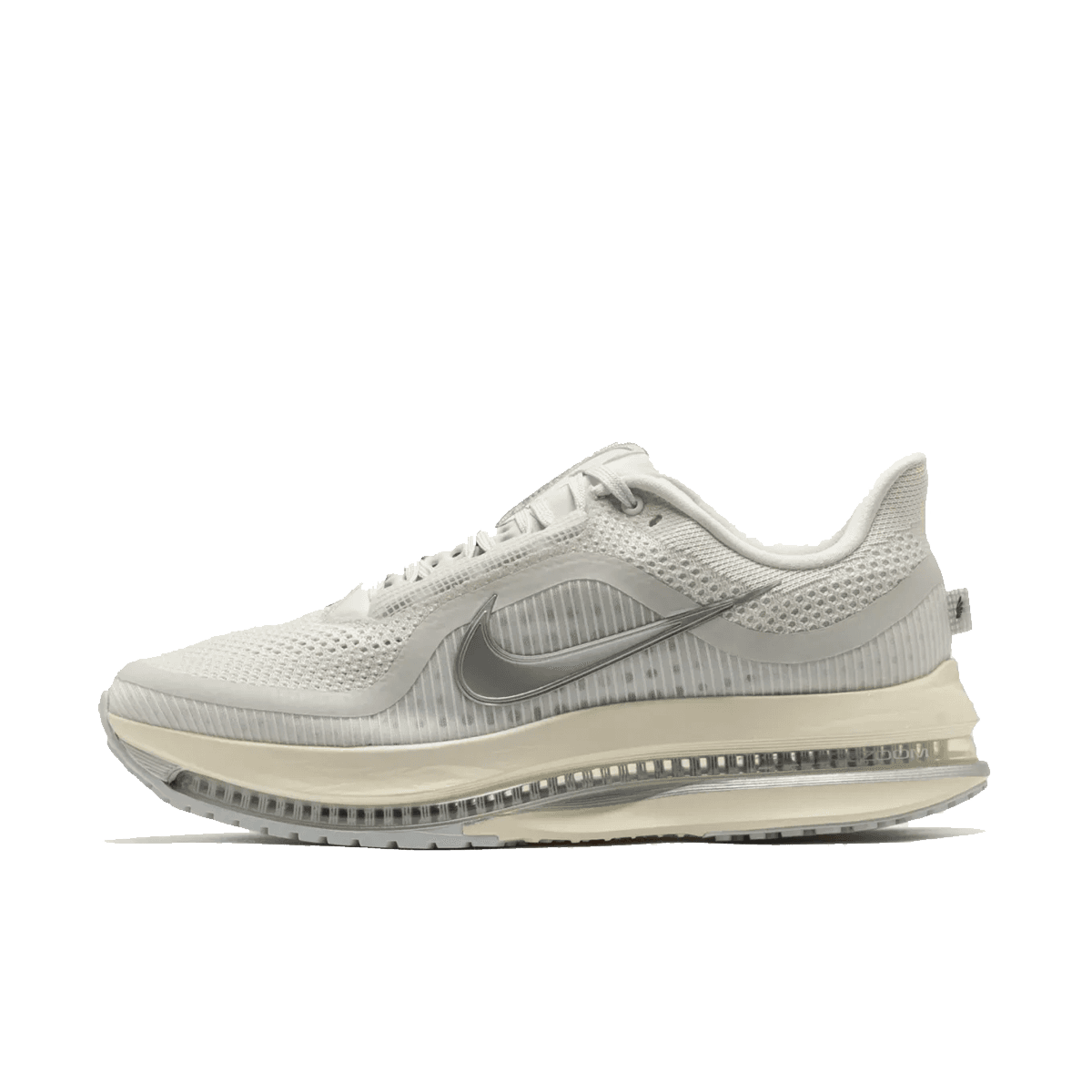 Nike Pegasus Premium 'Reflect Silver'