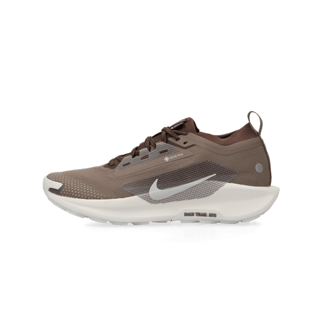 Nike Pegasus Trail 5 Gore-Tex SP mink brown