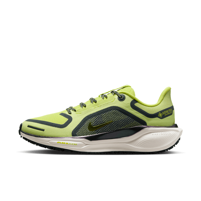 Nike Pegasus 41 GORE-TEX Waterproof Road