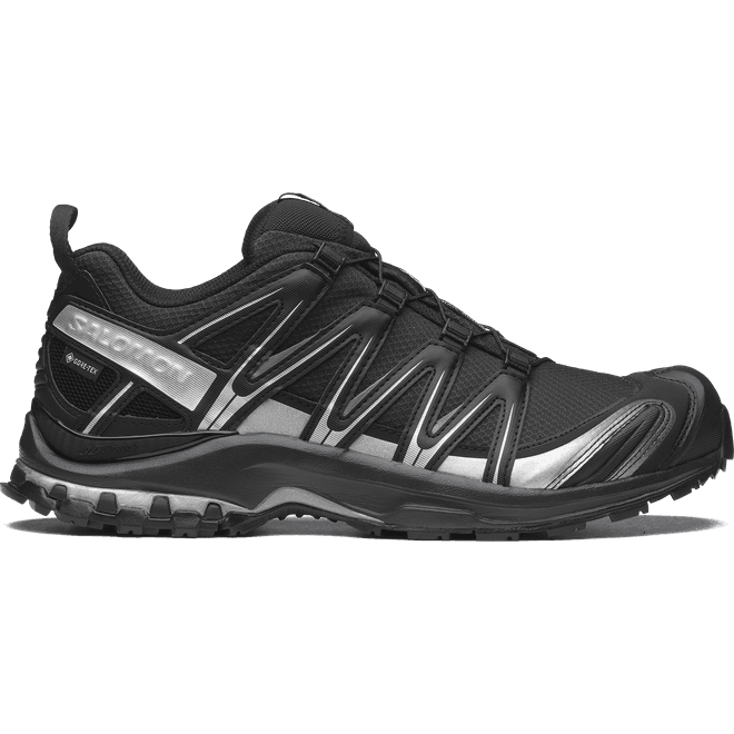 Salomon Xa Pro 3d Gtx 